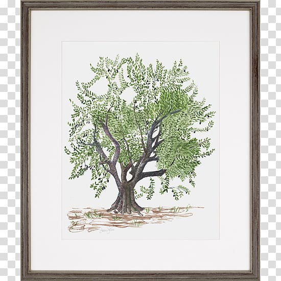Painting Olive Trees Frames Printing, painting transparent background PNG clipart