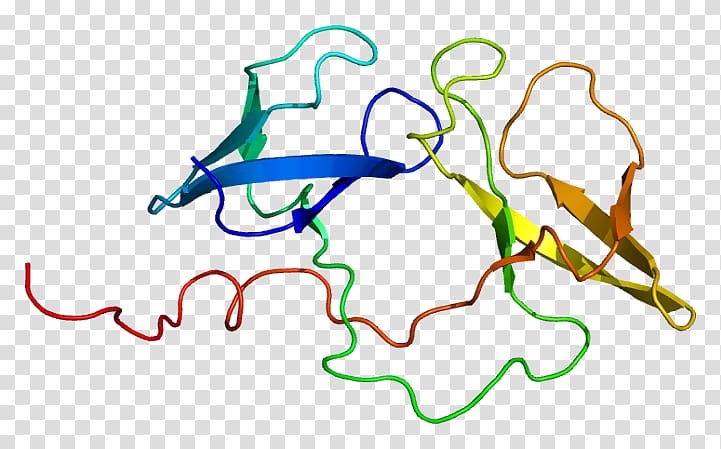 FMR1 Protein Fragile X syndrome Gene, Nucleic Acid Sequence transparent background PNG clipart