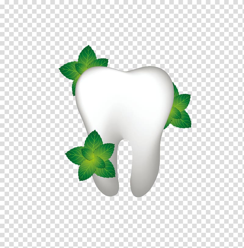 Human tooth Dentistry Dental floss Gums, leaf transparent background PNG clipart
