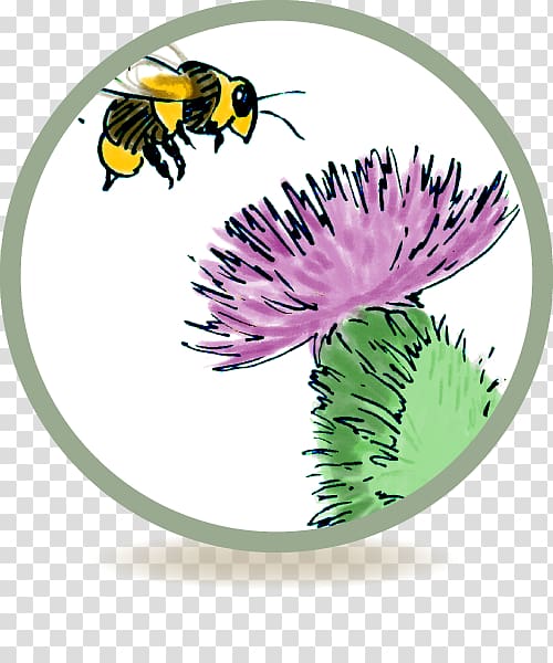 Honey bee Cream Insect bites and stings Itch, bee transparent background PNG clipart