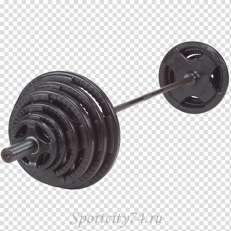 Weight plate Bench Weight training Human body, barbell transparent background PNG clipart