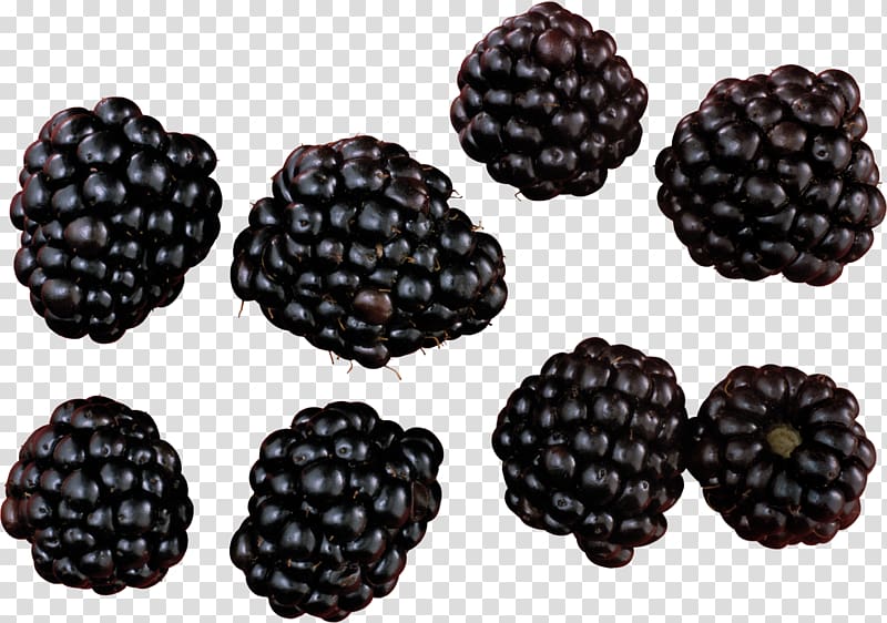 Blackberry, Blackberry transparent background PNG clipart