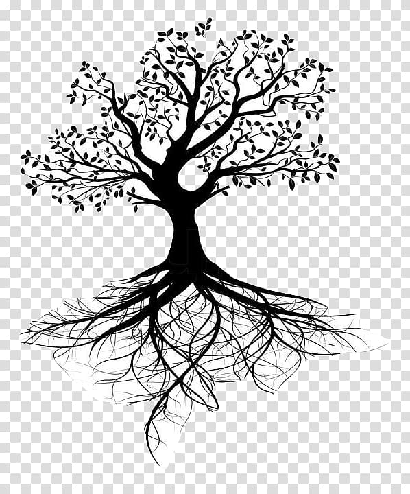 Tree of life Root, tree transparent background PNG clipart