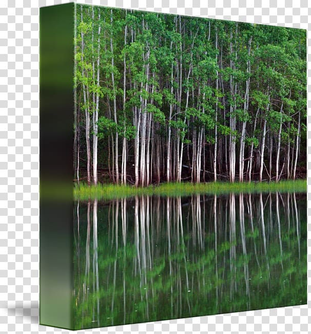 Gallery wrap Canvas Panorama Art Lakeshore Equipment Company Inc, Lakeshore Records transparent background PNG clipart