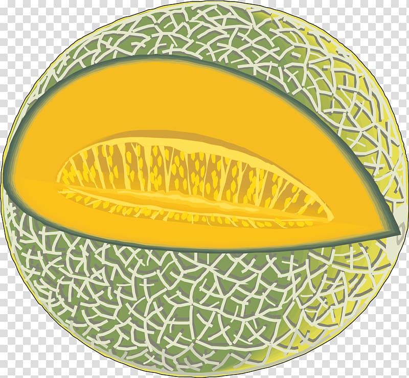 Cantaloupe Honeydew Hami melon , Hami melon material transparent background PNG clipart