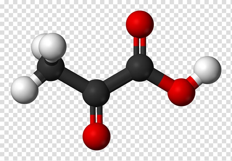 Pyruvic acid Lactic acid Tartaric acid Oxalic acid, molar sugar transparent background PNG clipart