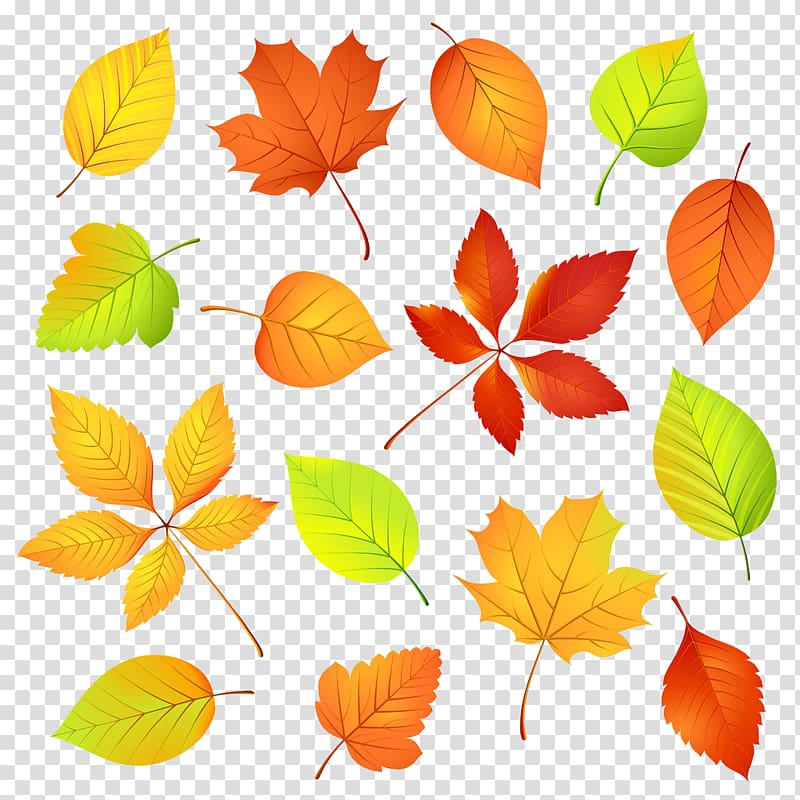 Autumn leaf color Autumn leaf color Maple leaf, Autumn leaves transparent background PNG clipart