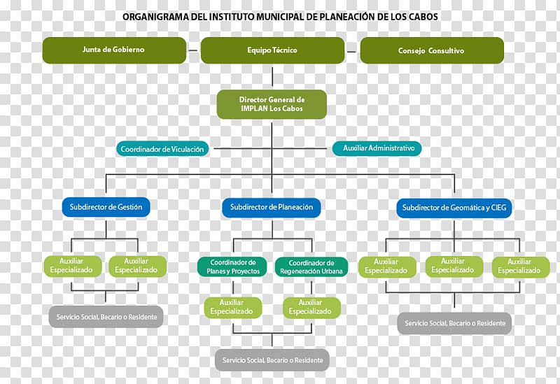 IMPLAN Los Cabos Cabo San Lucas Organizational chart Local government, Los Cabos Municipality transparent background PNG clipart