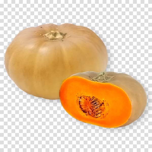 Cucurbita Winter squash Butternut squash Pumpkin Spaghetti squash, vegetable transparent background PNG clipart