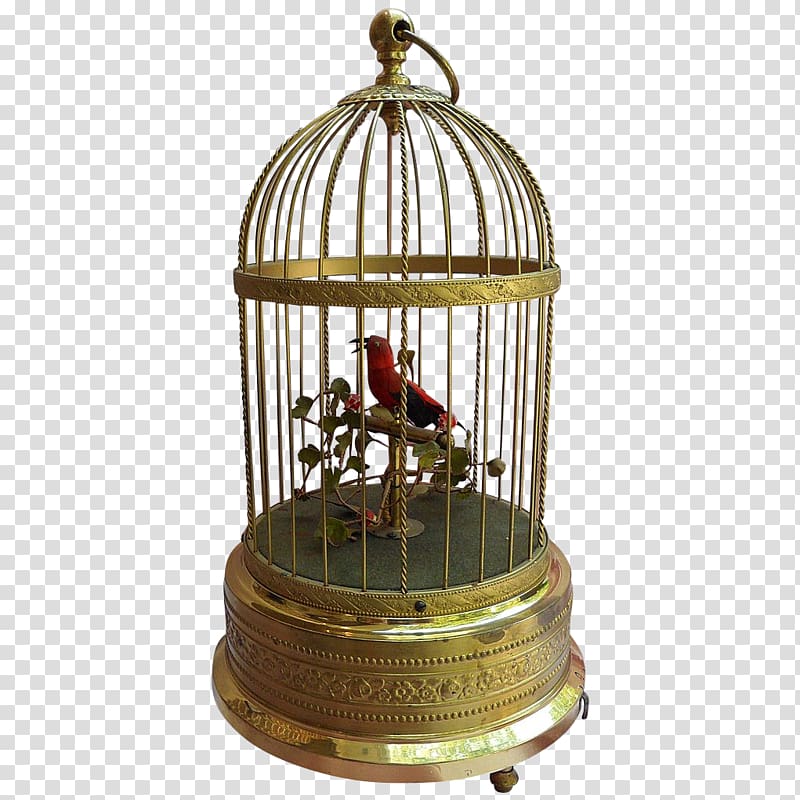 Bird Domestic canary Cage Parrot 1900s, bird cage transparent background PNG clipart