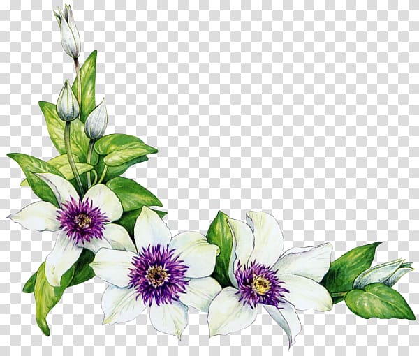 corner flower white flower fresh green leaves transparent background PNG clipart