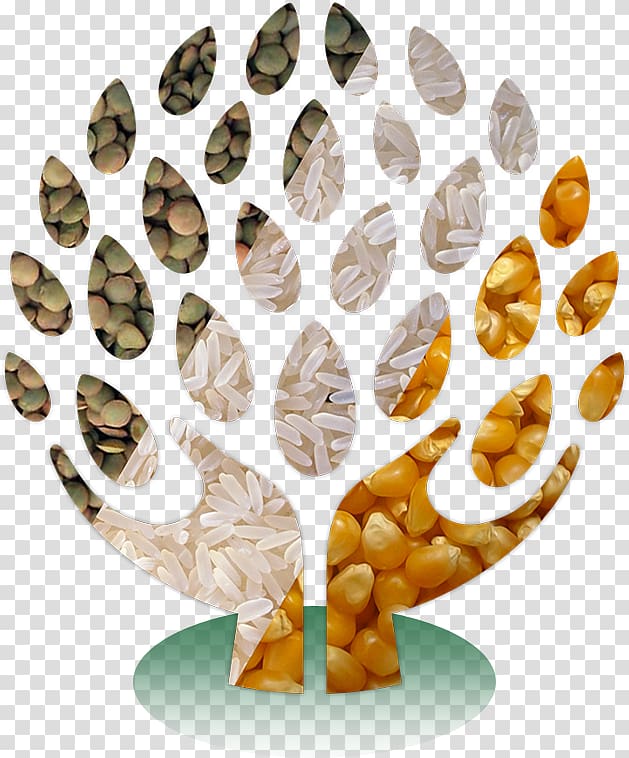 Breakfast cereal Dried Fruit Nuts Auglis Caju, fruit sec transparent background PNG clipart