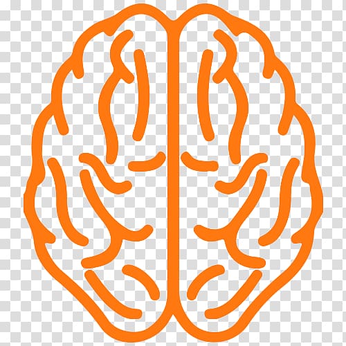 About Your Brain Human brain, Brain transparent background PNG clipart