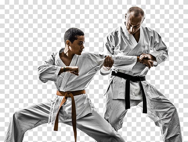 Brazilian jiu-jitsu Karate Jujutsu Grappling Kenpō, karate transparent background PNG clipart