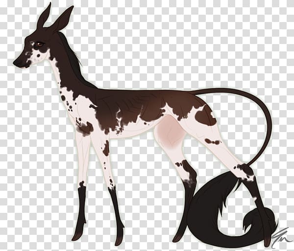 Horse Cattle Antelope Deer Pack animal, Billy Goat transparent background PNG clipart