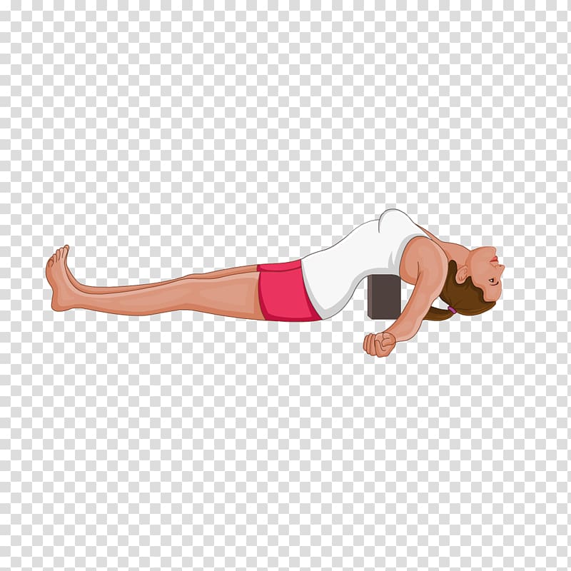 Matsyasana Yoga Ustrasana Exercise Sarvangasana, Yoga transparent background PNG clipart