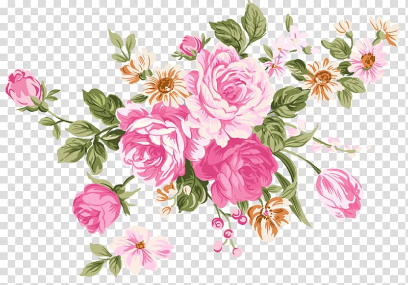 Beach rose Flower Still Life: Pink Roses Color, secret garden wind transparent background PNG clipart
