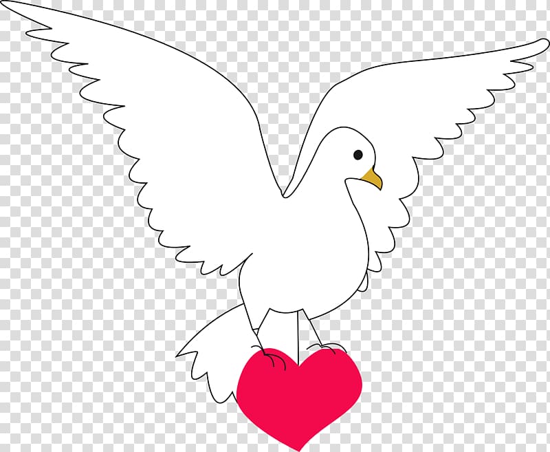 Columbidae Peace Doves as symbols , DOVE transparent background PNG clipart