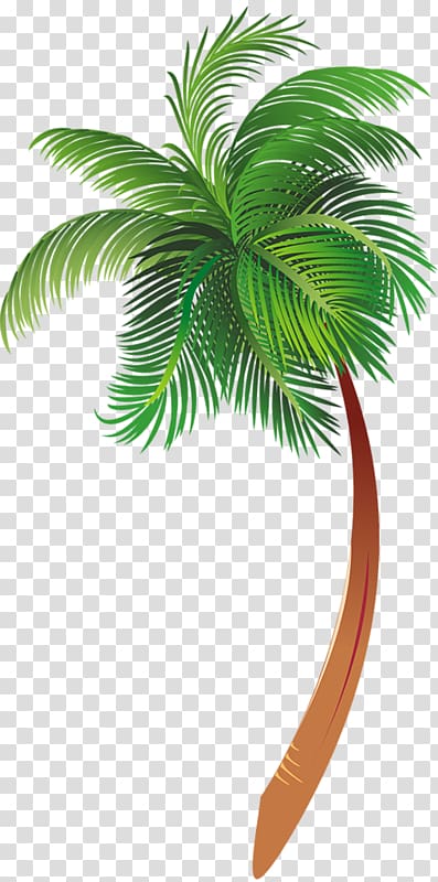 Arecaceae Cartoon Tree , Cartoon palm tree transparent background PNG clipart