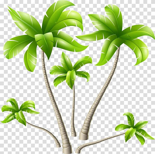 green palm treer, Coconut Arecaceae Tree, Hand-painted cartoon rubber tree transparent background PNG clipart