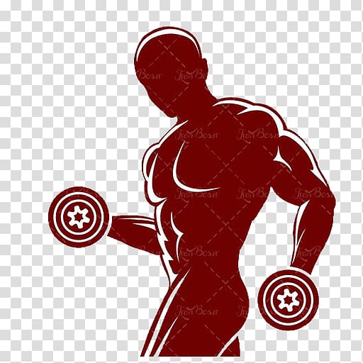 Fitness Centre Weight training Silhouette Muscle Physical fitness, Silhouette transparent background PNG clipart