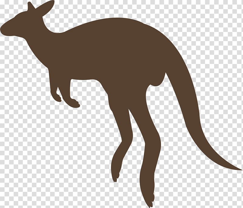 Macropodidae Kangaroo Animal Red fox, kangaroo transparent background PNG clipart