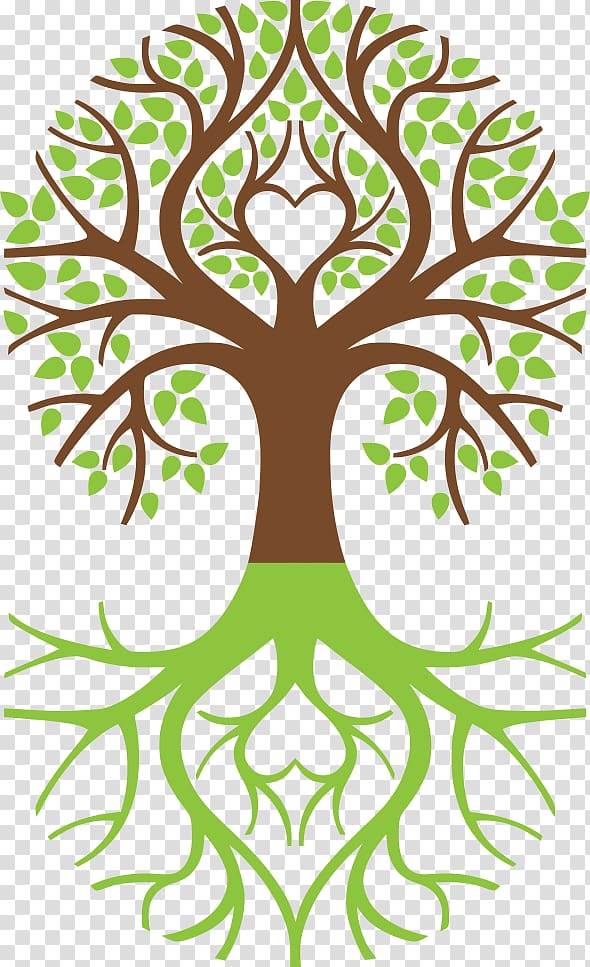 green and brown tree illustration, Tree of life Symbol Weeping willow Arborvitae, Happiness transparent background PNG clipart