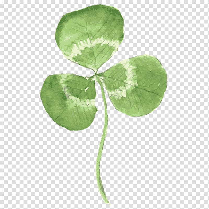 Clover , Clover transparent background PNG clipart