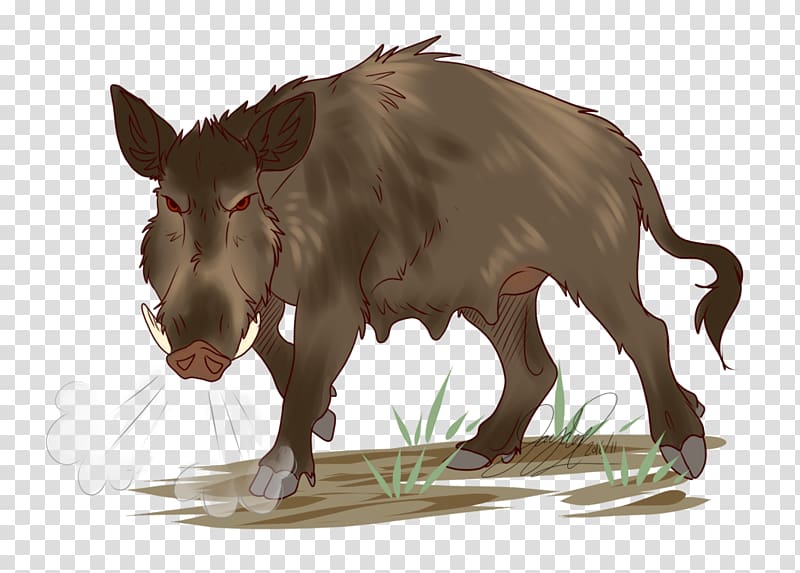 Pig Cattle Snout Wildlife Mammal, Wild Boar transparent background PNG clipart