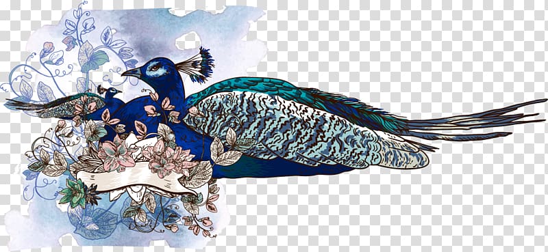 Asiatic peafowl Illustration, Watercolor blue peacock transparent background PNG clipart