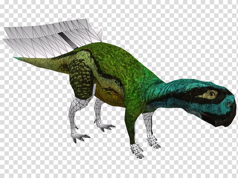 Velociraptor Tyrannosaurus Animal, torosaurus transparent background PNG clipart