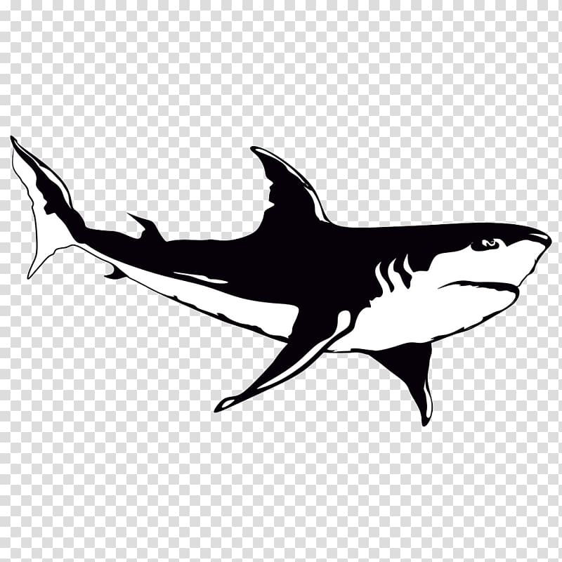 Shark Cartoon Illustration, shark transparent background PNG clipart ...