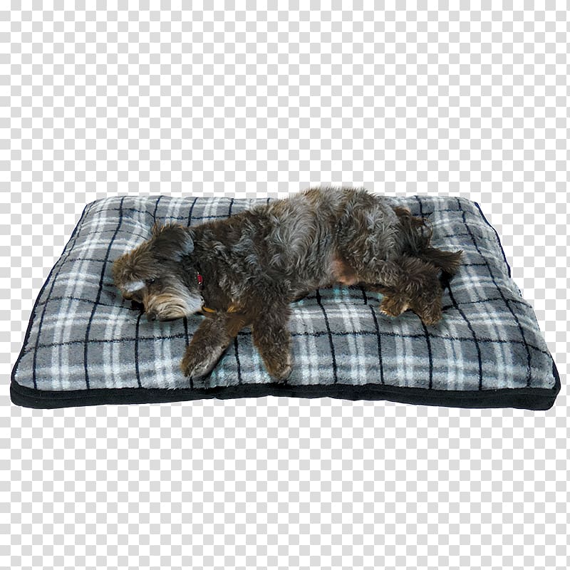 Dog crate Cushion Mattress Bed, Dog transparent background PNG clipart