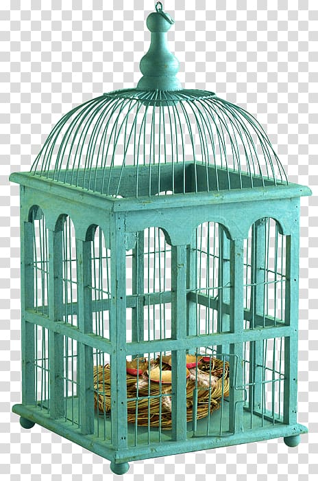 Birdcage Parrot Decorative arts, parrot transparent background PNG clipart