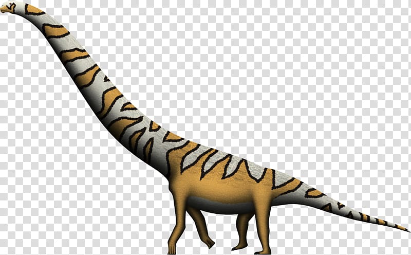 Velociraptor Dreadnoughtus Tyrannosaurus Giraffatitan Alamosaurus, dinosaur transparent background PNG clipart
