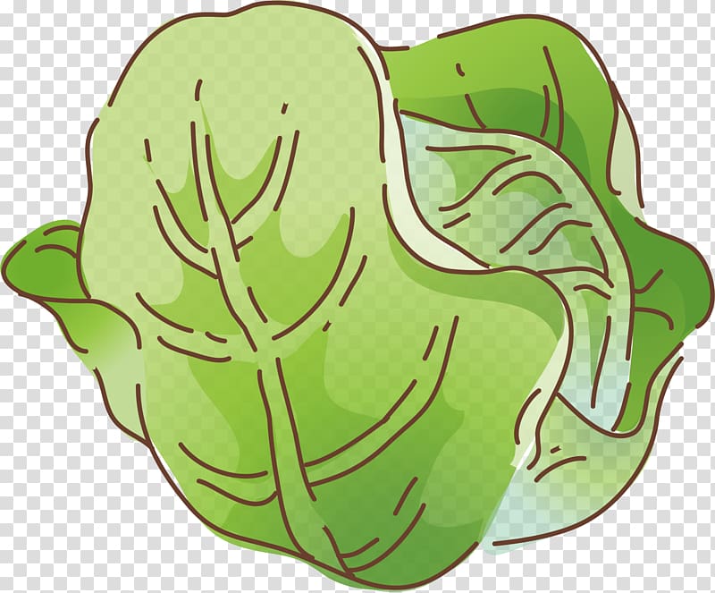 Vegetable Cartoon Cabbage Illustration, Cabbage element transparent