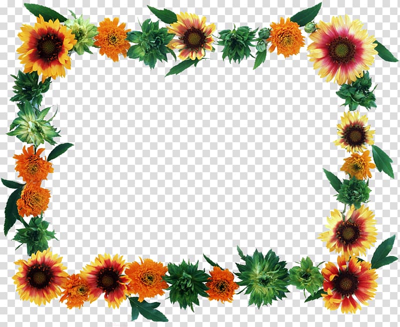 Flower Frames, flower frame transparent background PNG clipart