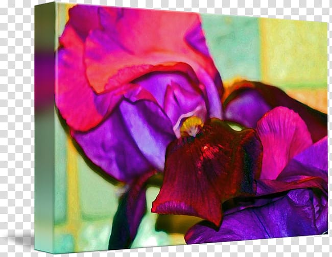 Acrylic paint Pansy Rose family Floral design Violet, violet transparent background PNG clipart