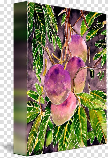 Branch Watercolor painting Mango Mangifera indica, painted fruit transparent background PNG clipart