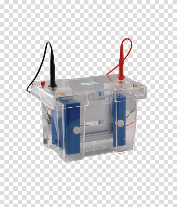 Two-dimensional gel electrophoresis Agarose gel electrophoresis, quote box transparent background PNG clipart