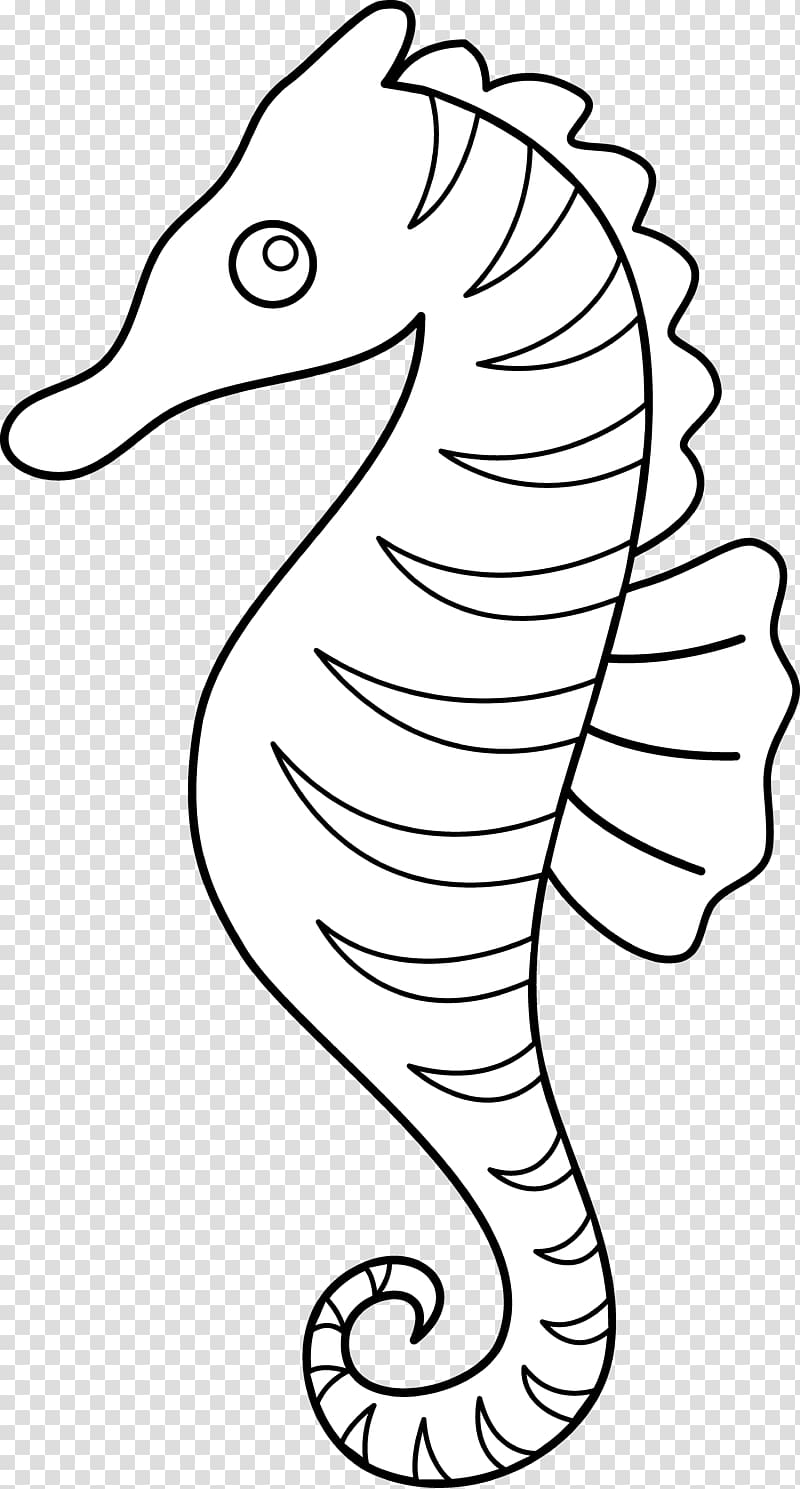 Seahorse Line art , Sea Horse Outline transparent background PNG clipart