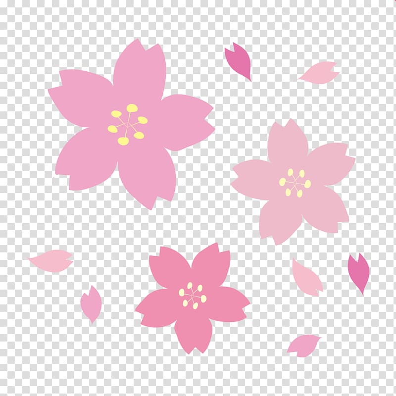 2017 National Cherry Blossom Festival Paper, cherry blossom transparent background PNG clipart