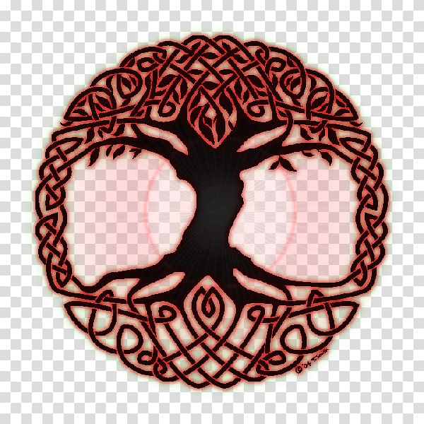 Tree of life Color Symbol Celtic sacred trees, tree transparent background PNG clipart