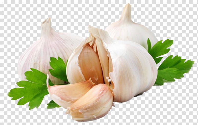 white garlic illustration, Garlic press Shallot Vegetable Alternative Health Services, Garlic transparent background PNG clipart