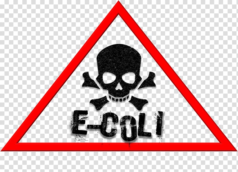 E. coli Food poisoning Coliform bacteria Disease, poison transparent background PNG clipart