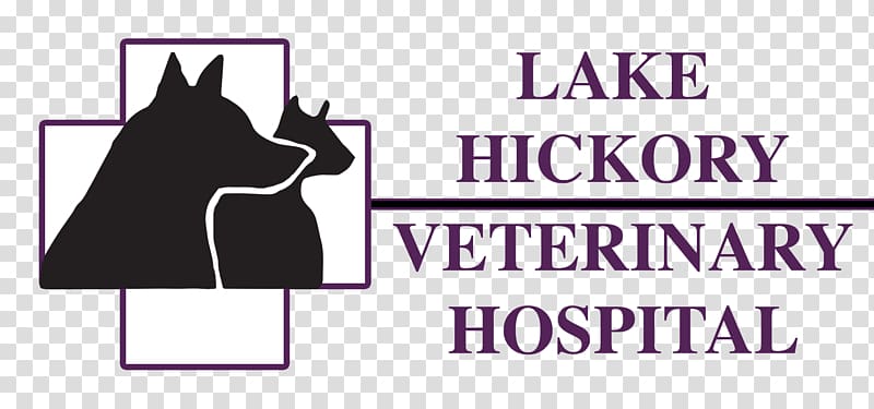 Lake Hickory Veterinary Hospital Veterinarian Dog Pet, lake logo transparent background PNG clipart