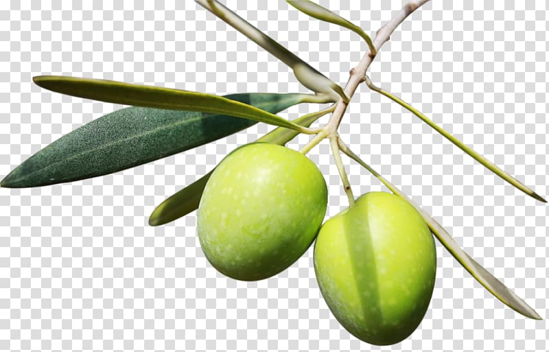 Olive oil Mediterranean cuisine Mediterranean diet, olive transparent background PNG clipart