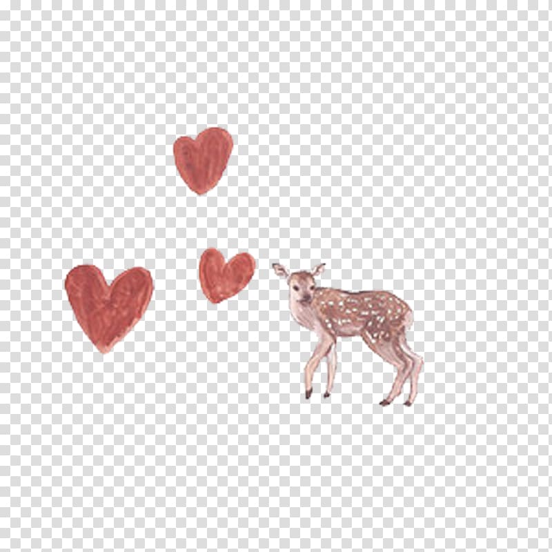 Deer , Sika deer love transparent background PNG clipart