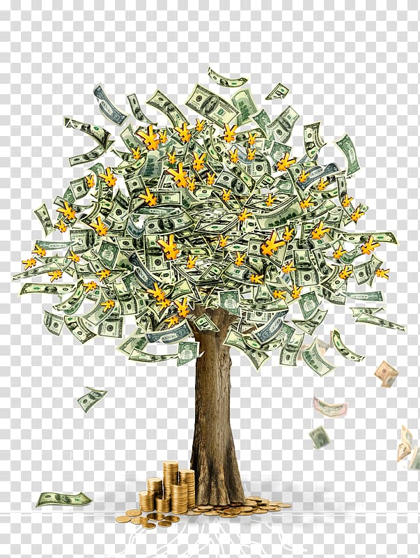 ready source of money,tree transparent background PNG clipart