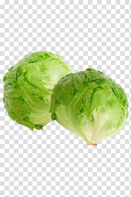 Brussels sprout Romaine lettuce Iceberg lettuce Butterhead lettuce Vegetable, iceberg lettuce transparent background PNG clipart